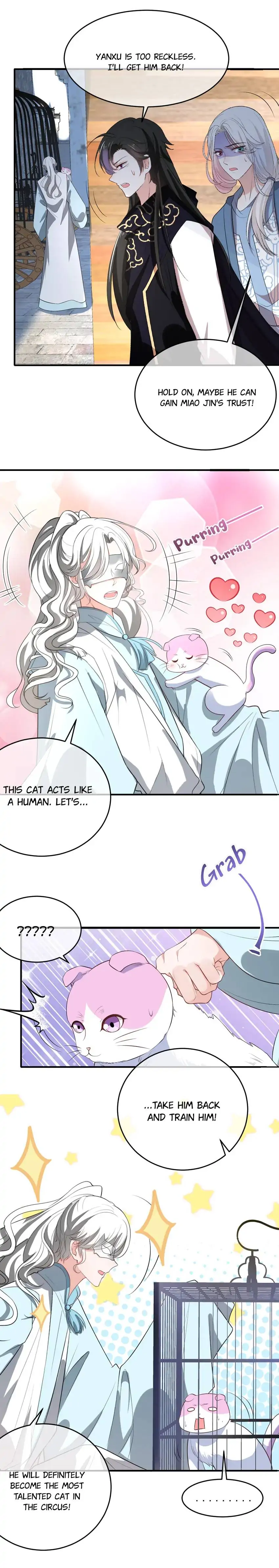 12 Evil Cats - chapter 152 - #6