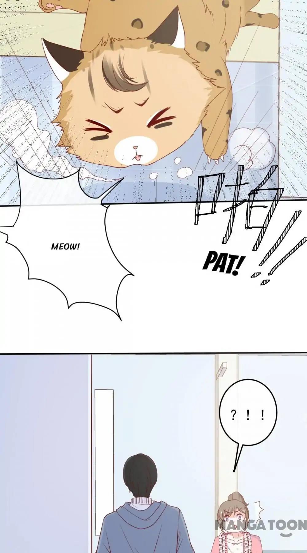 12 Evil Cats - chapter 29 - #3