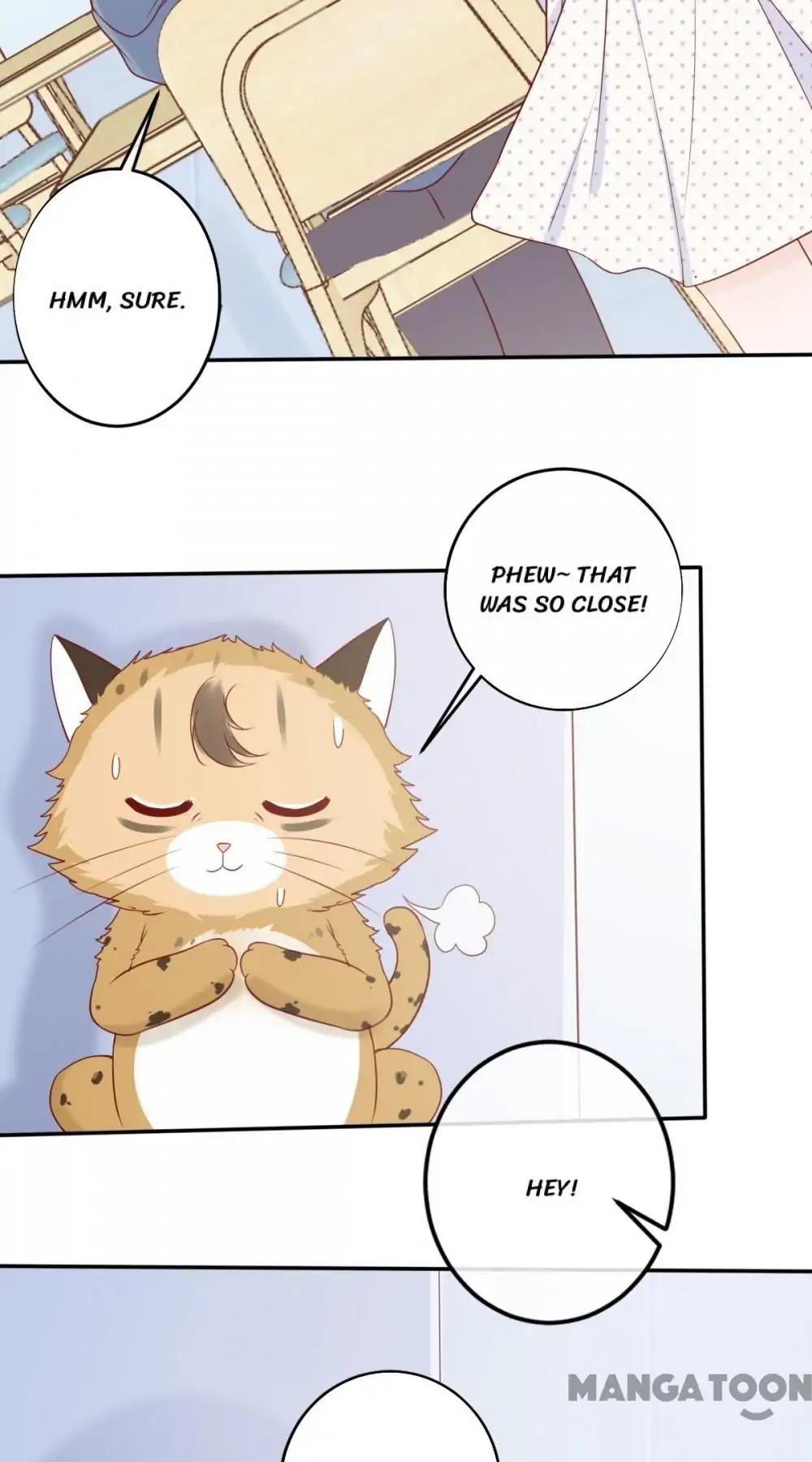 12 Evil Cats - chapter 29 - #6
