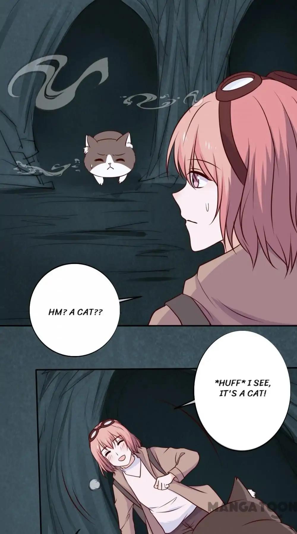 12 Evil Cats - chapter 43 - #6