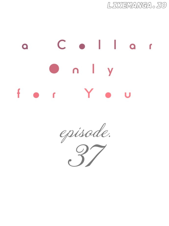 A Collar Only For You - chapter 37 - #1