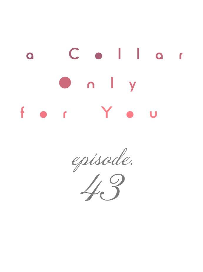 A Collar Only For You - chapter 43 - #2