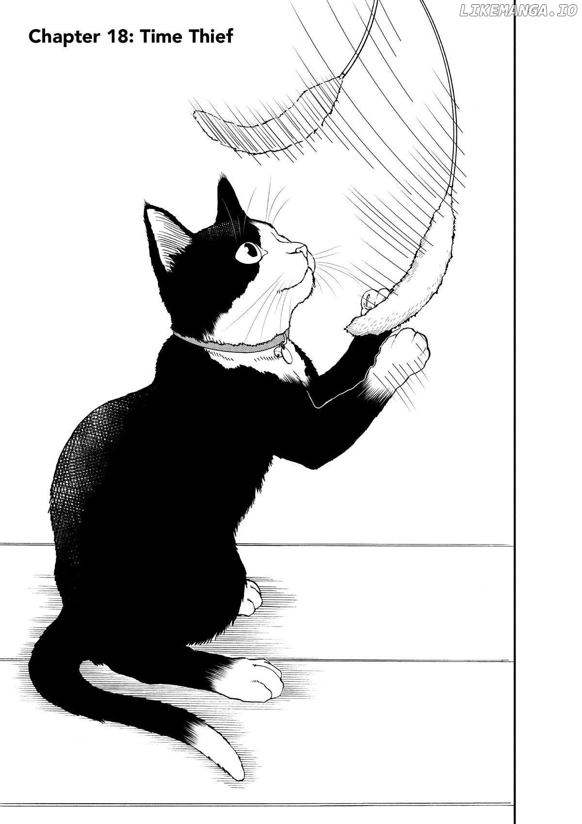 A Gamer Living with a Cat - chapter 18 - #4