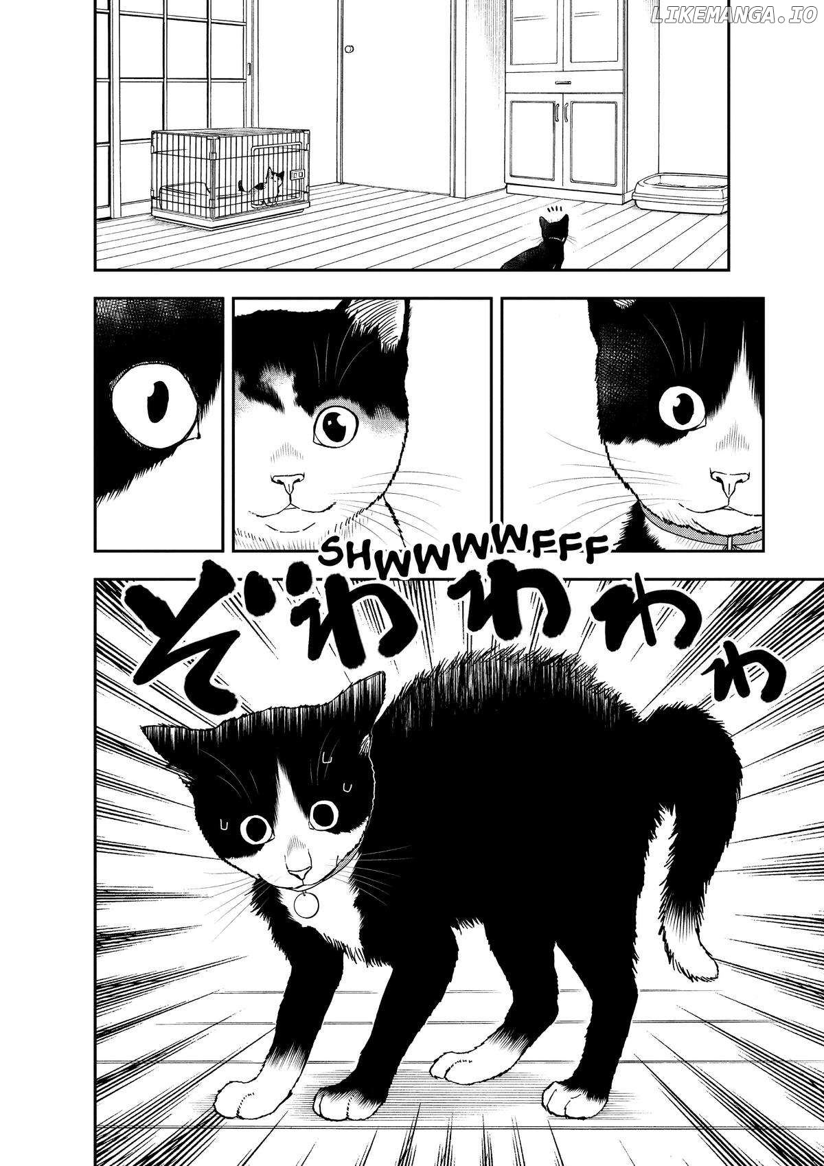 A Gamer Living with a Cat - chapter 29 - #6