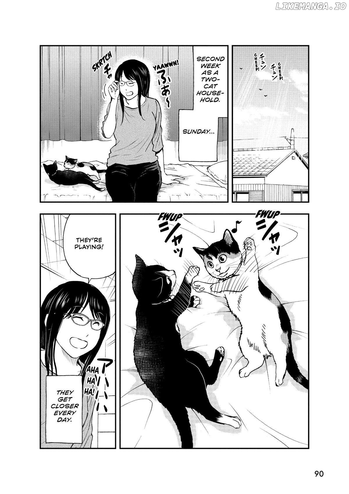 A Gamer Living with a Cat - chapter 32 - #2