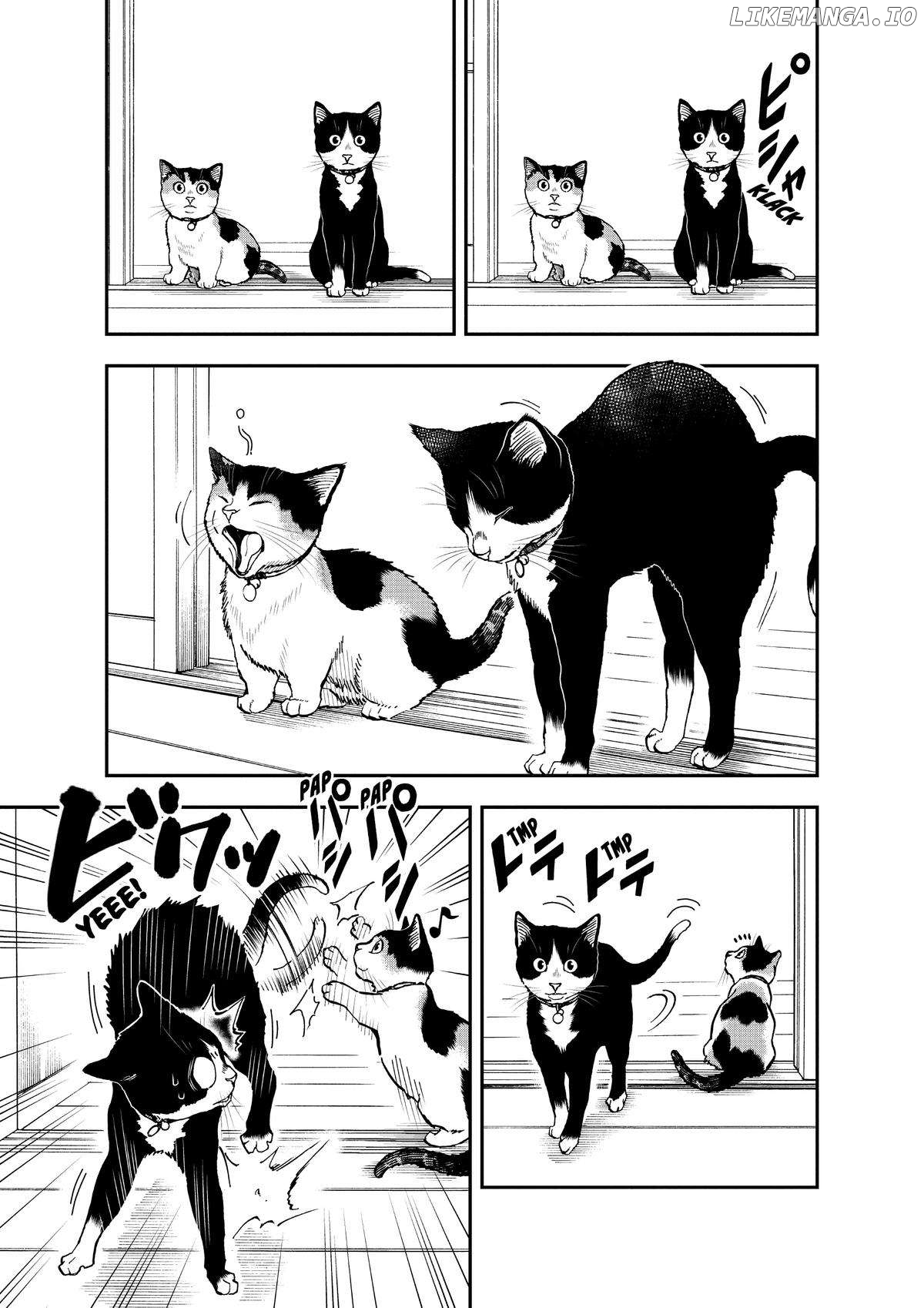 A Gamer Living with a Cat - chapter 33 - #3