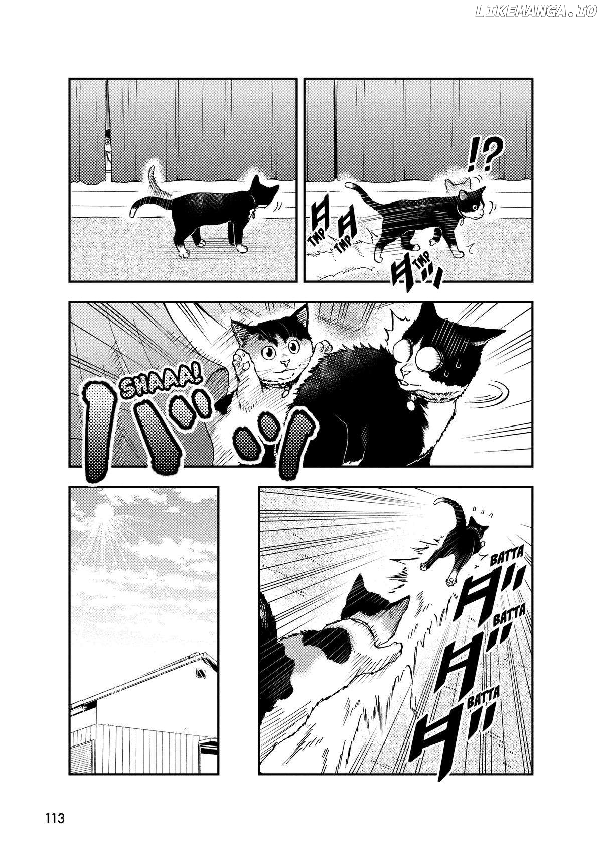 A Gamer Living with a Cat - chapter 33 - #5