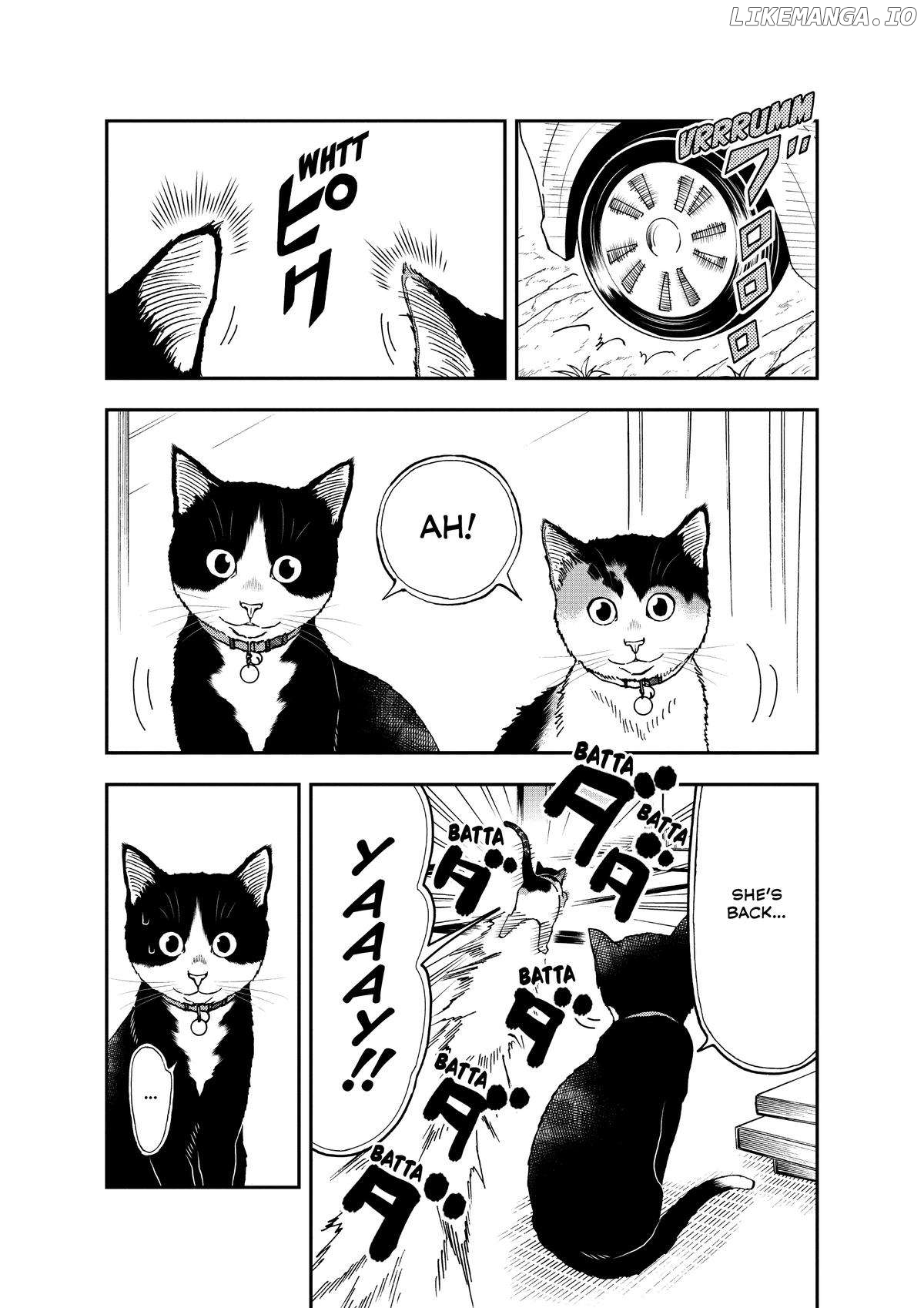 A Gamer Living with a Cat - chapter 34 - #2
