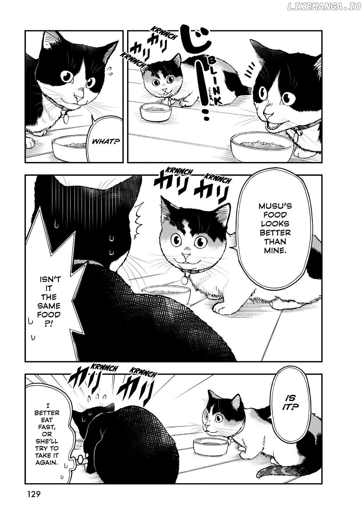 A Gamer Living with a Cat - chapter 34 - #5