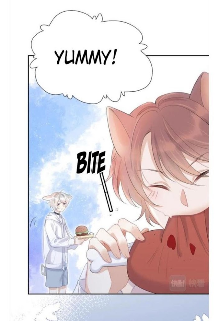A Rabbit Down In A Bite - chapter 4 - #5