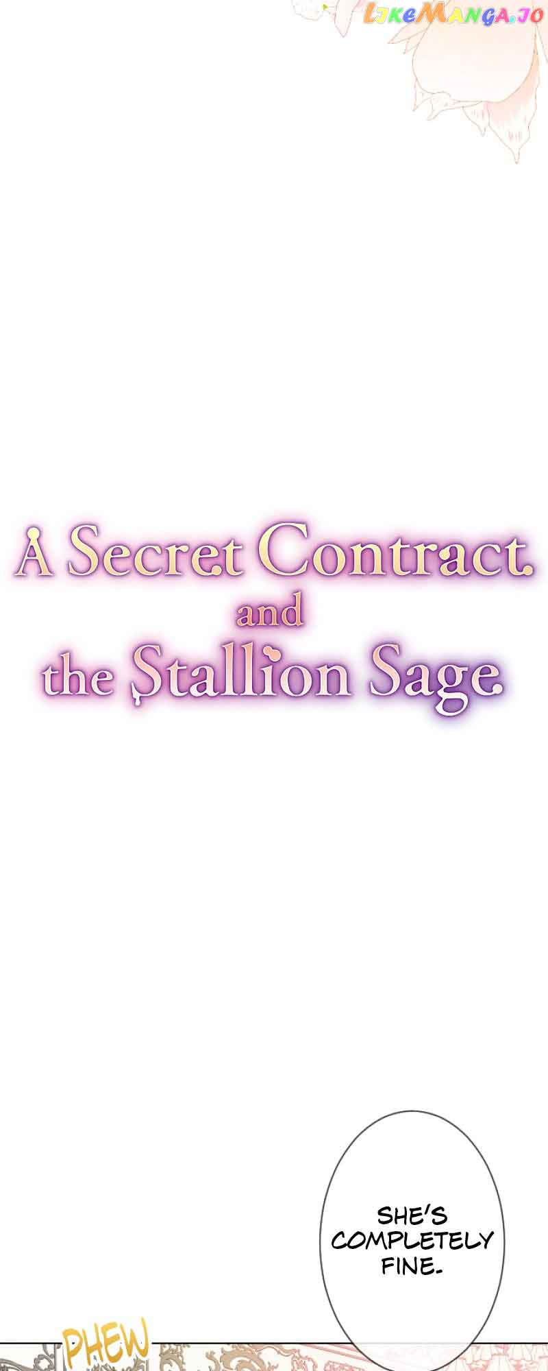 A Secret Contract and the Stallion Sage - chapter 16 - #5