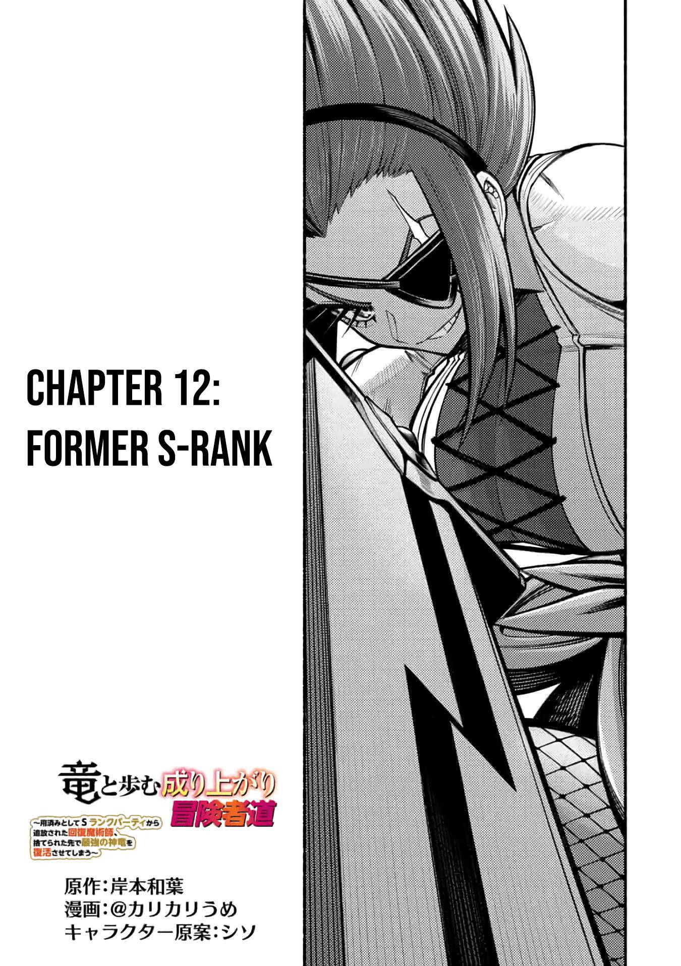 A story about a Dragon and the Rising of an Adventurer ~ A healer who was seen as useless and was kicked out from an S rank party, goes off to revive the strongest dragon in an abandoned area - chapter 12 - #3