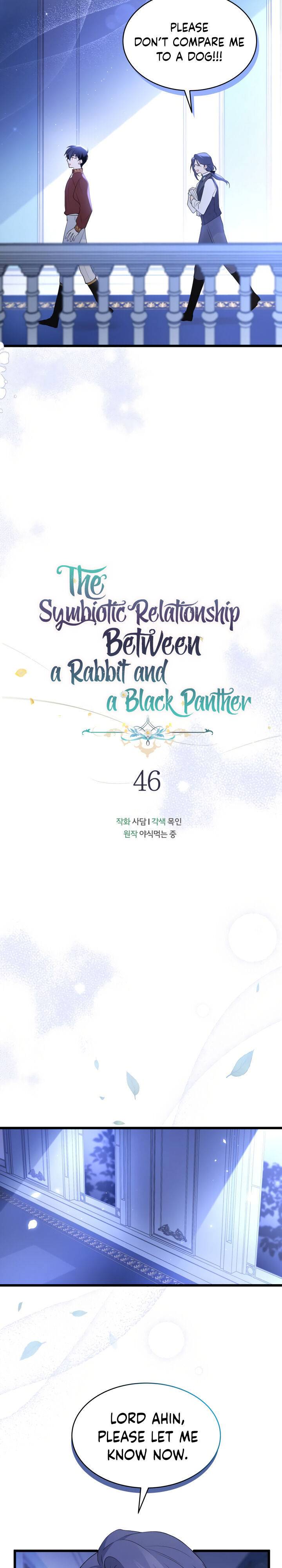 A Symbiotic Relationship Between A Rabbit And A Black Panther - chapter 46 - #5