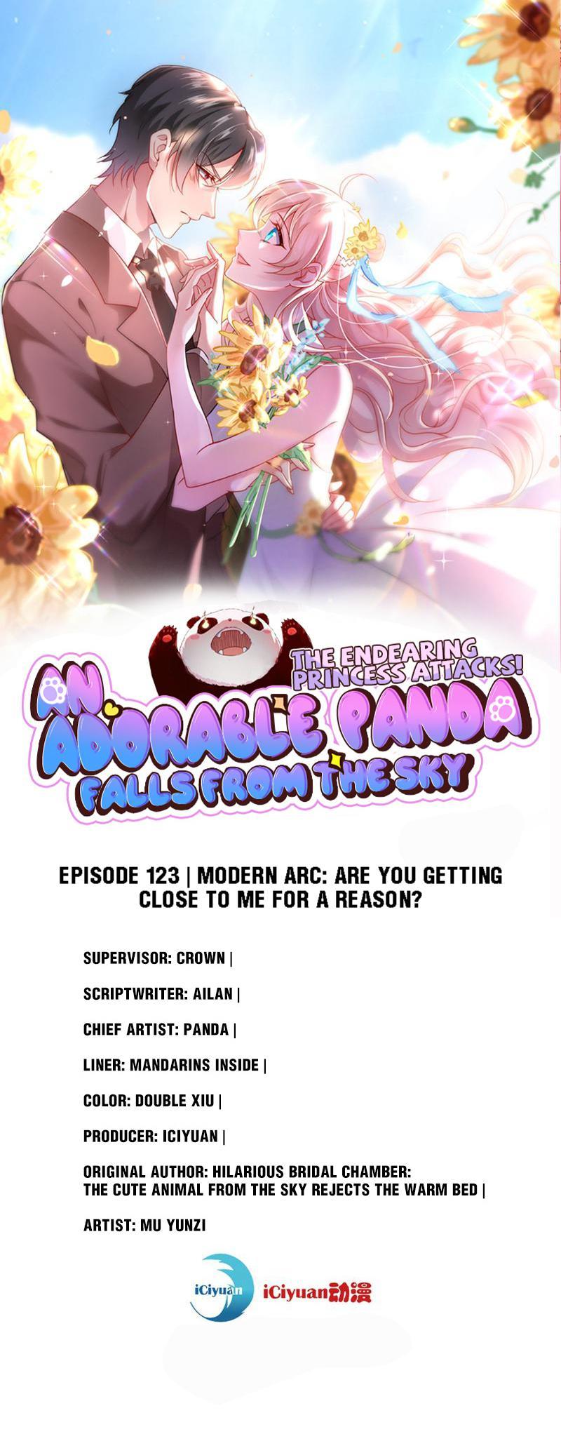 An Adorable Panda Falls From The Sky: The Endearing Princess Attacks! - chapter 129 - #1