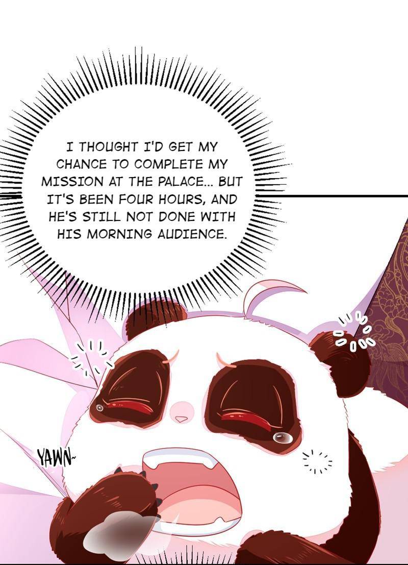 An Adorable Panda Falls From The Sky: The Endearing Princess Attacks! - chapter 21 - #5