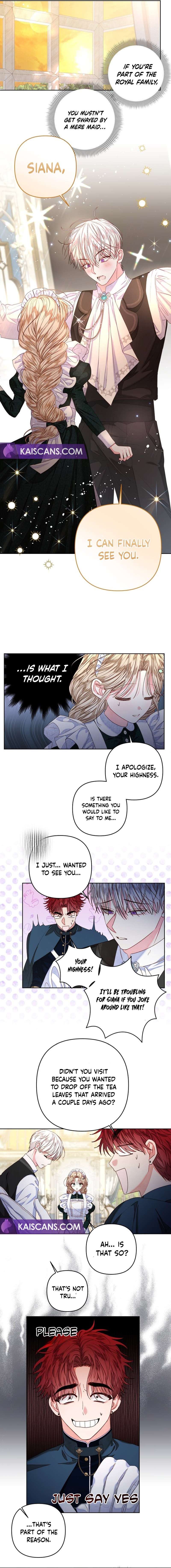 Being a Maid is Better than Being a Princess - chapter 29 - #4