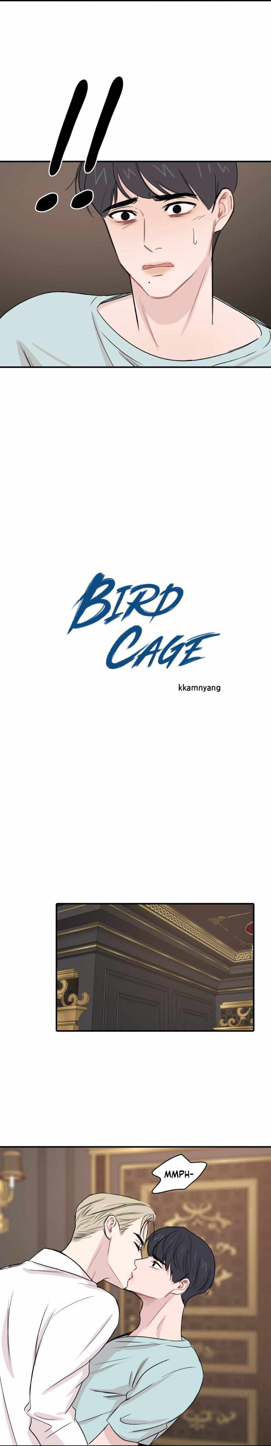 Bird Cage - chapter 17 - #4
