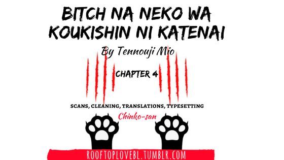 Bitch na Neko wa Koukishin ni Katenai - chapter 4 - #1