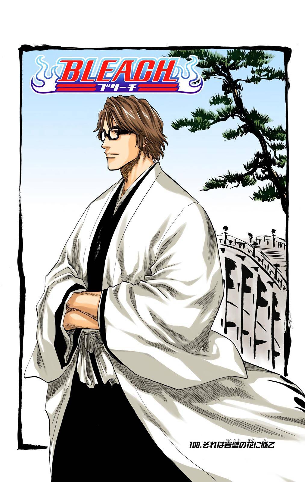 Bleach - Color - chapter 100 - #5