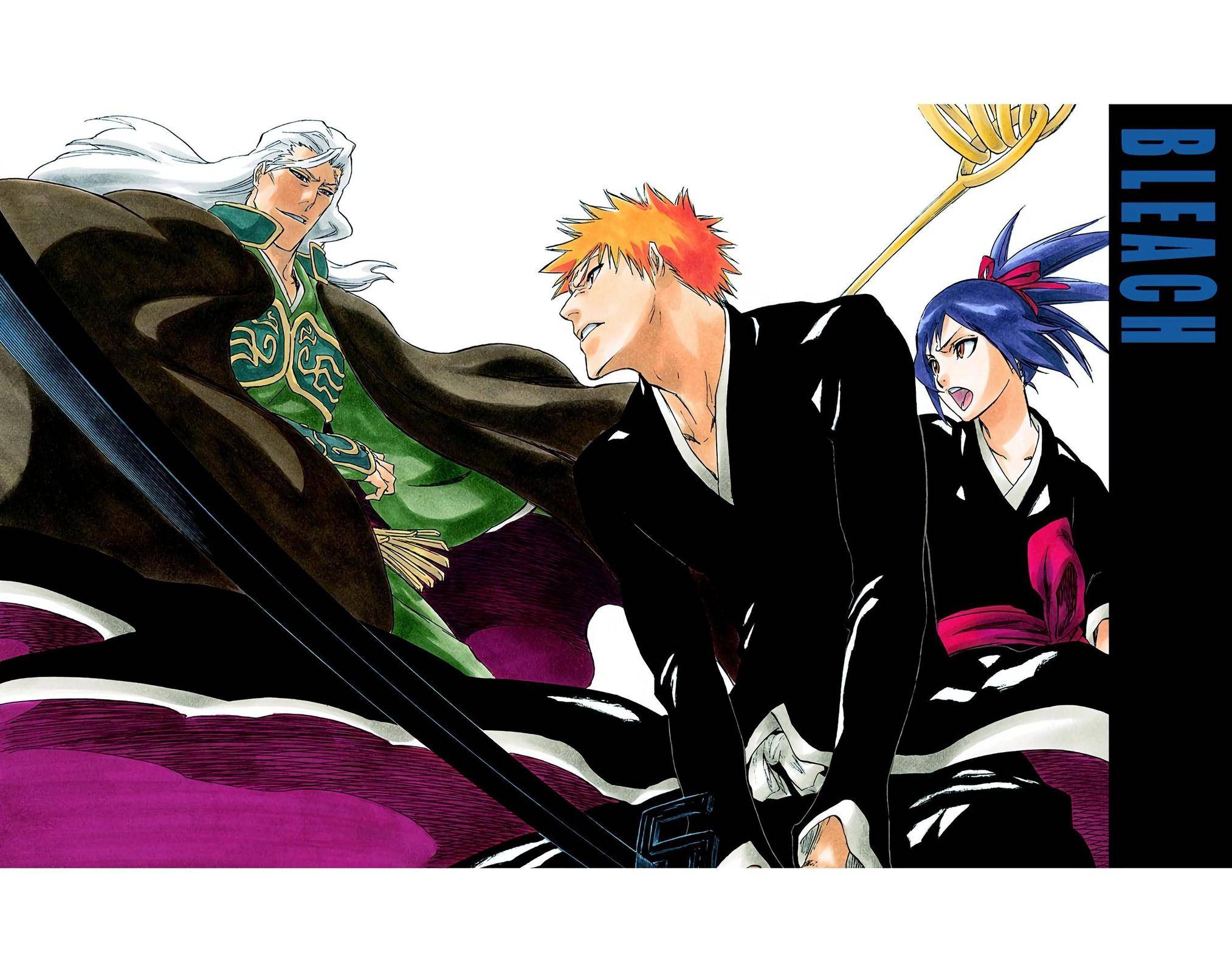 Bleach - Color - chapter 215 - #2