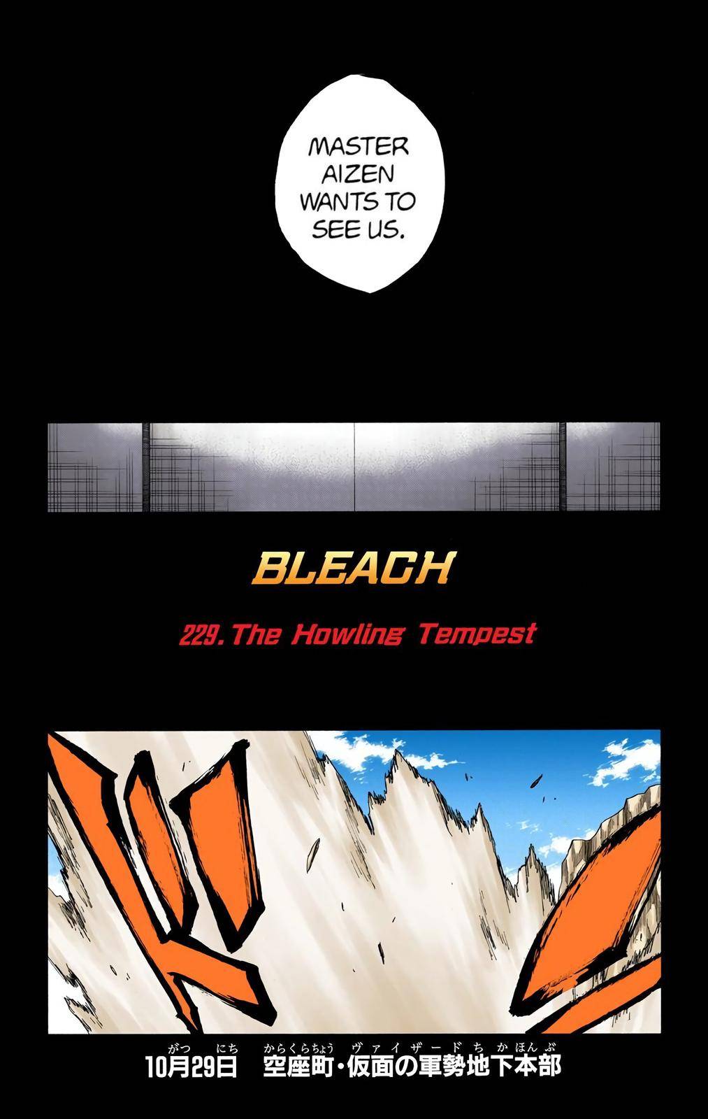 Bleach - Color - chapter 229 - #6