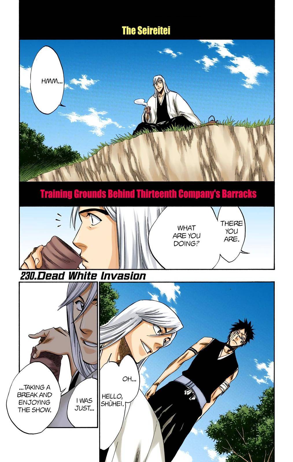 Bleach - Color - chapter 230 - #1
