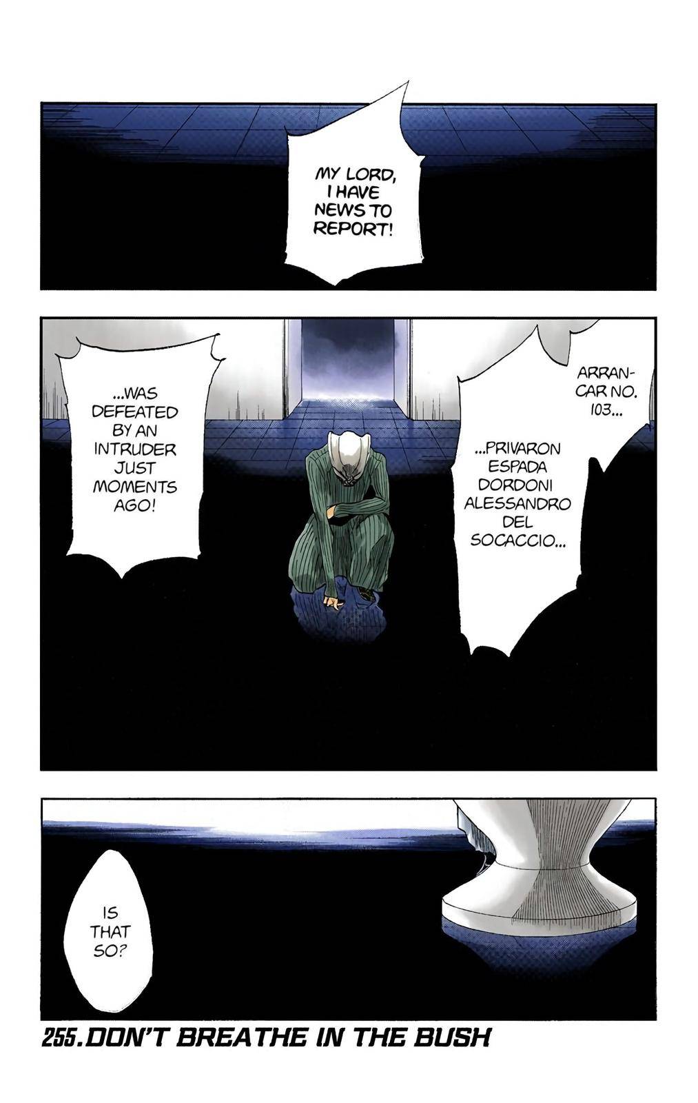 Bleach - Color - chapter 255 - #1