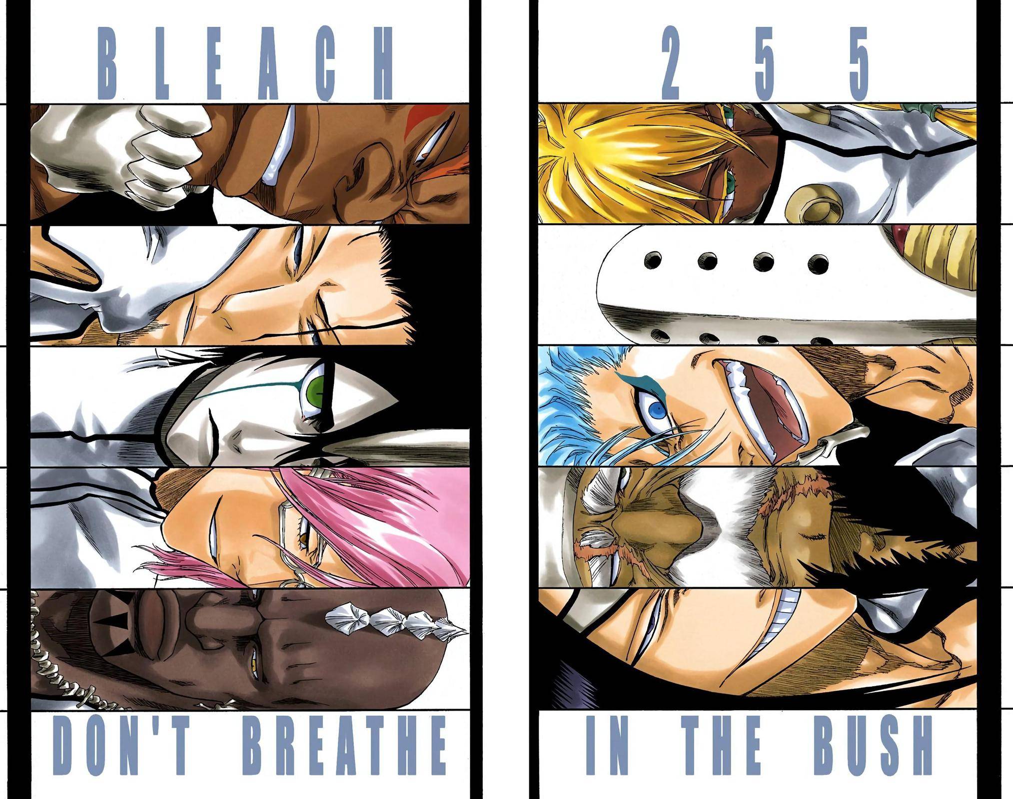 Bleach - Color - chapter 255 - #2