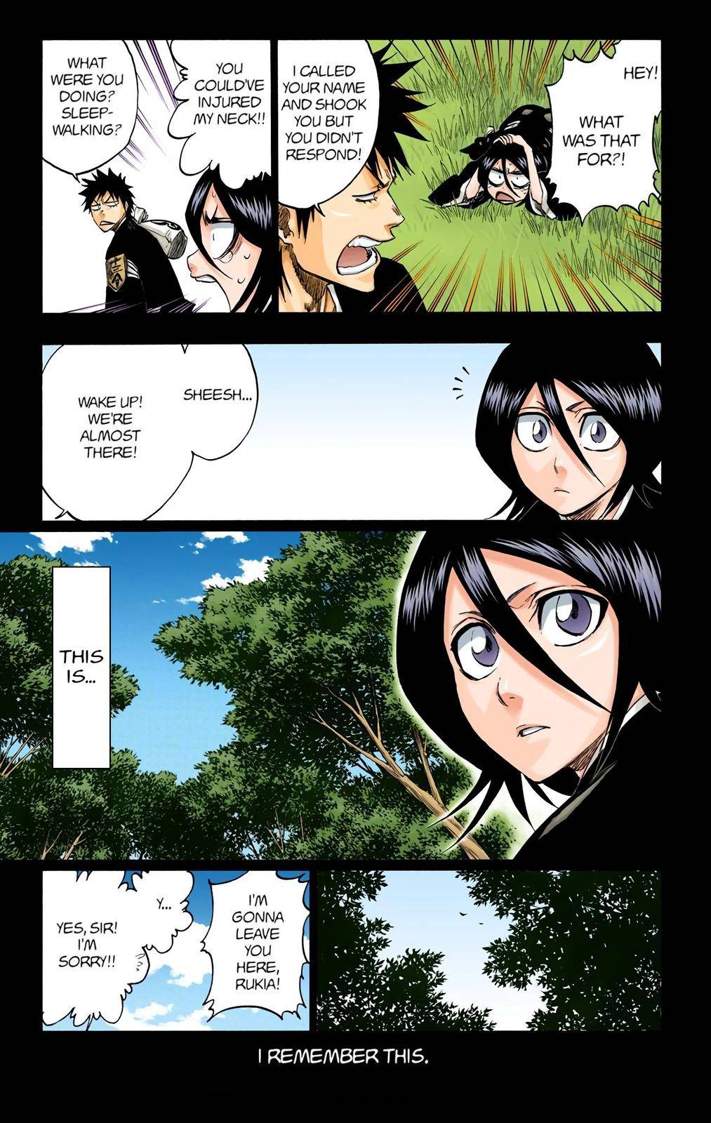 Bleach - Color - chapter 268 - #3