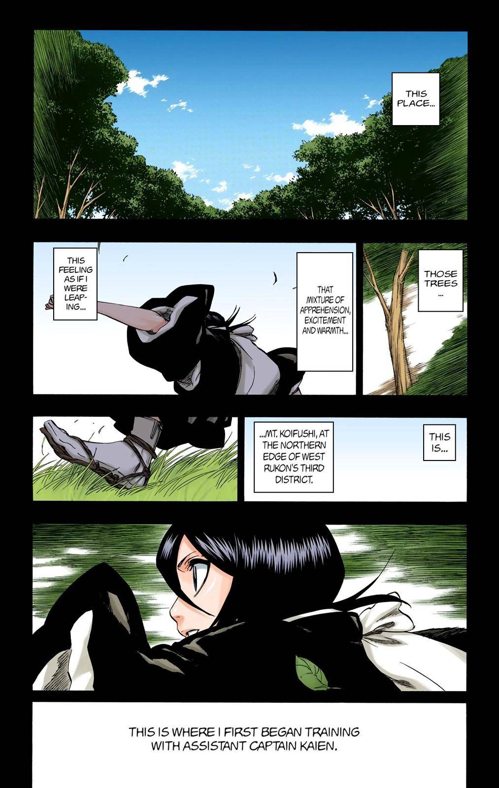 Bleach - Color - chapter 268 - #4