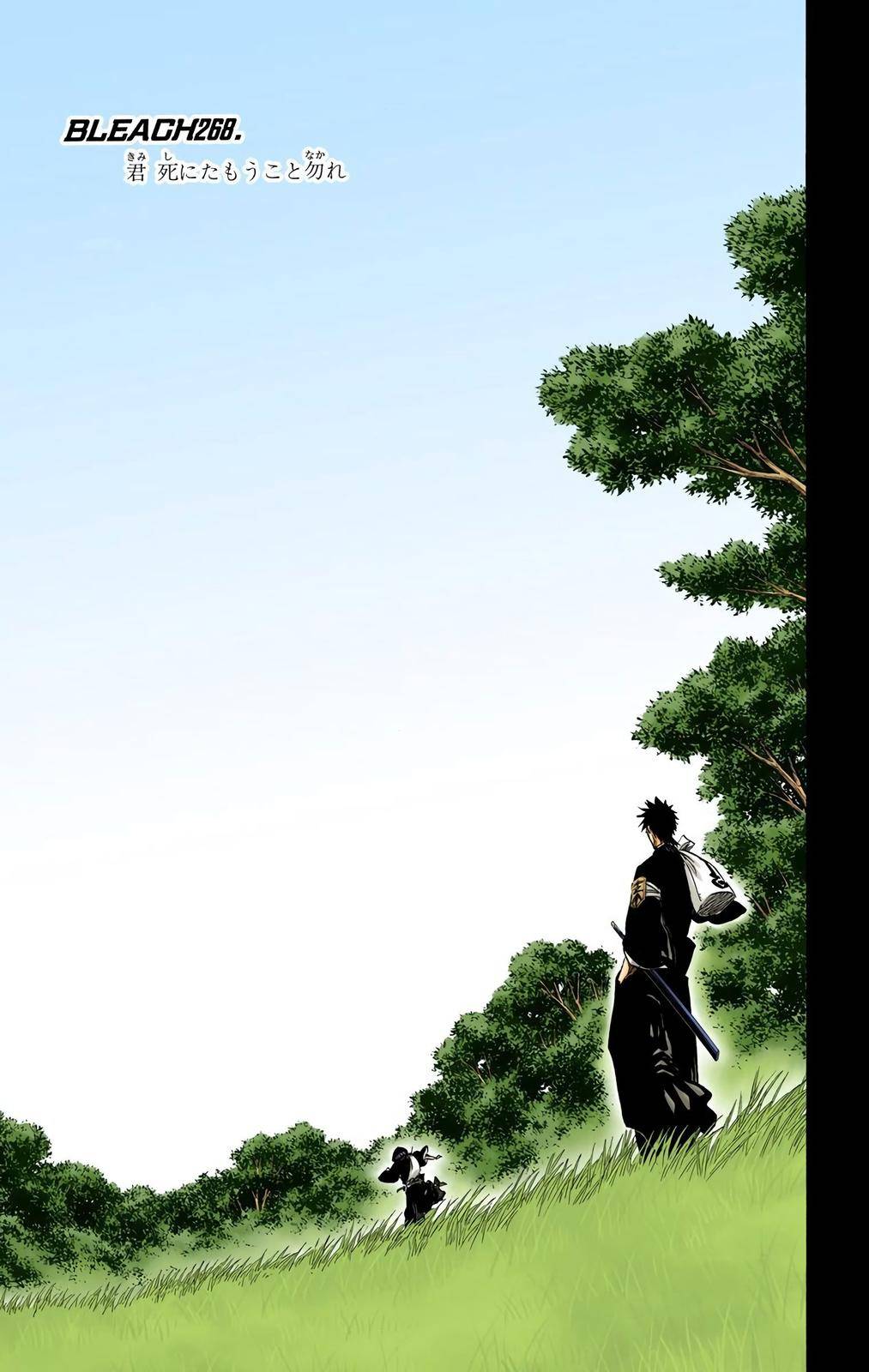 Bleach - Color - chapter 268 - #5