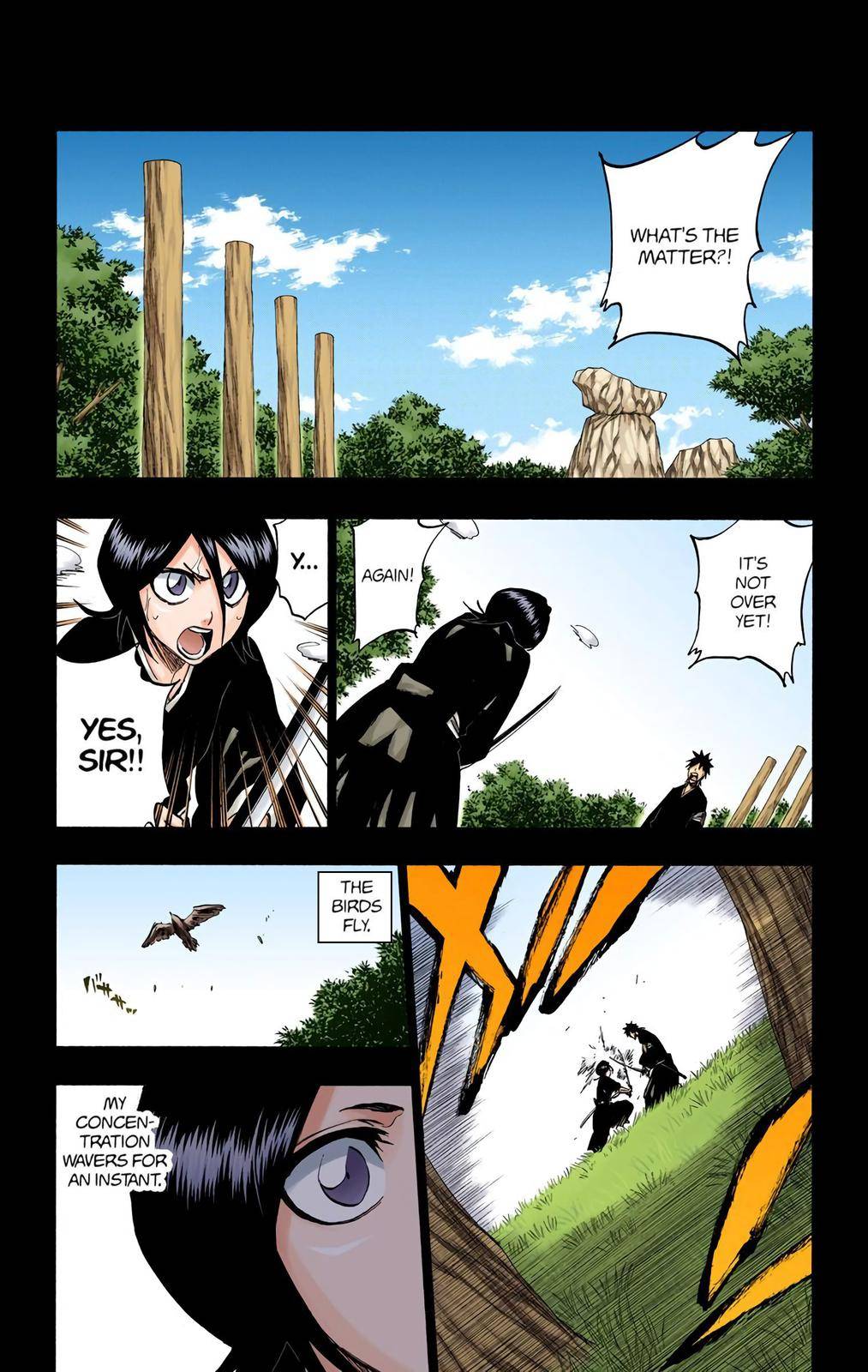 Bleach - Color - chapter 268 - #6