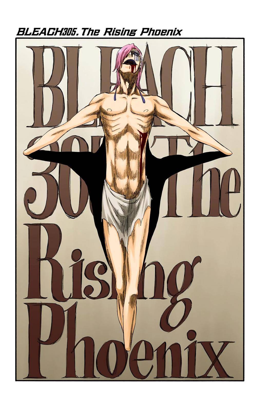 Bleach - Color - chapter 305 - #4