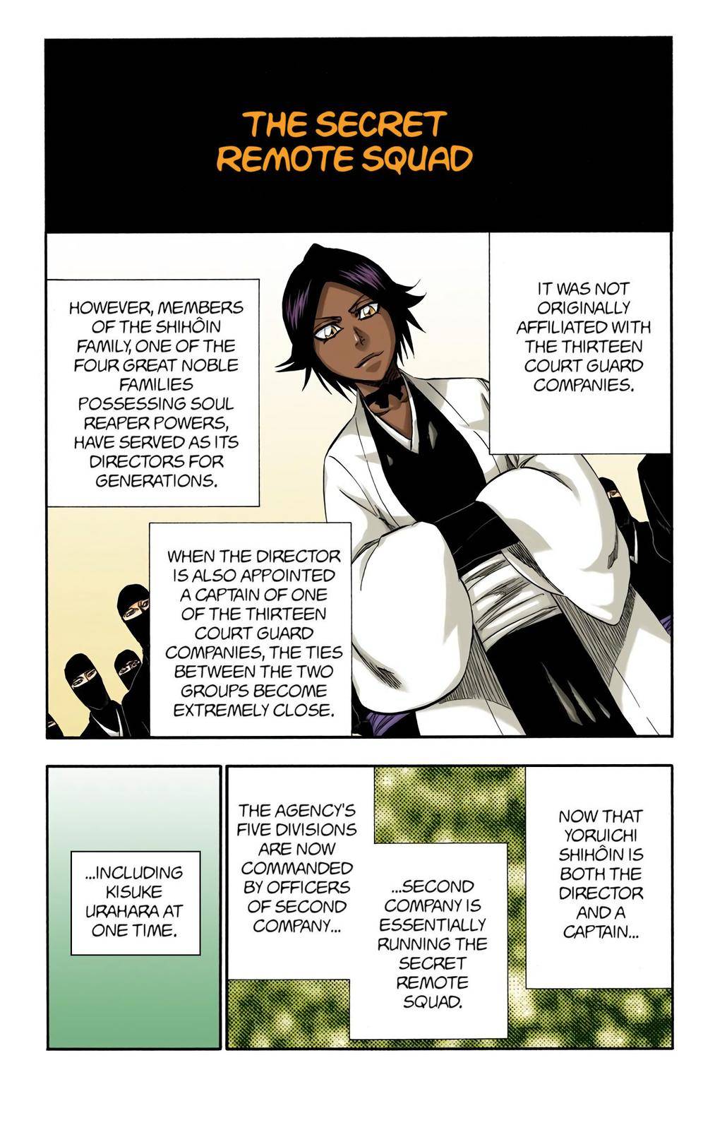 Bleach - Color - chapter 315.3 - #4