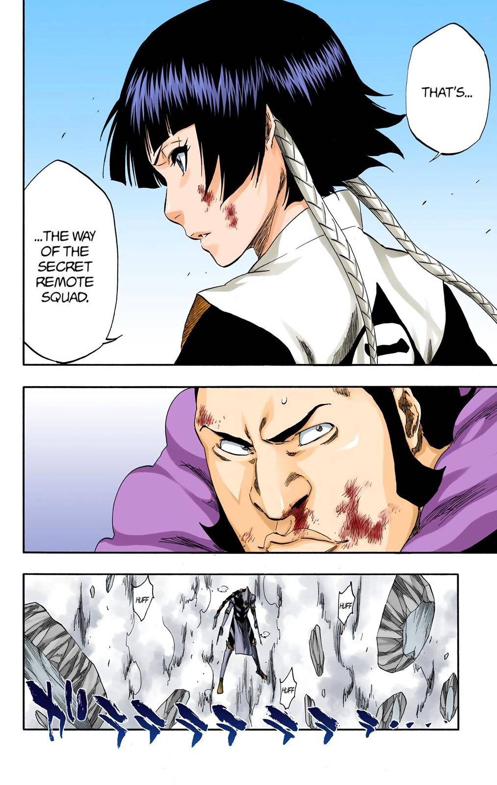 Bleach - Color - chapter 333 - #4