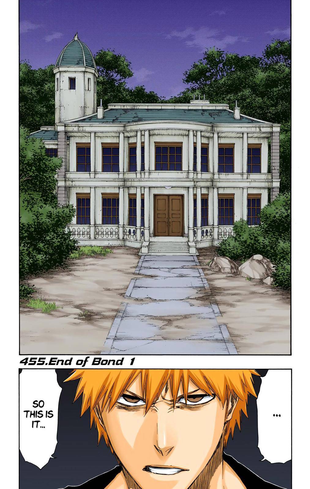 Bleach - Color - chapter 455 - #1
