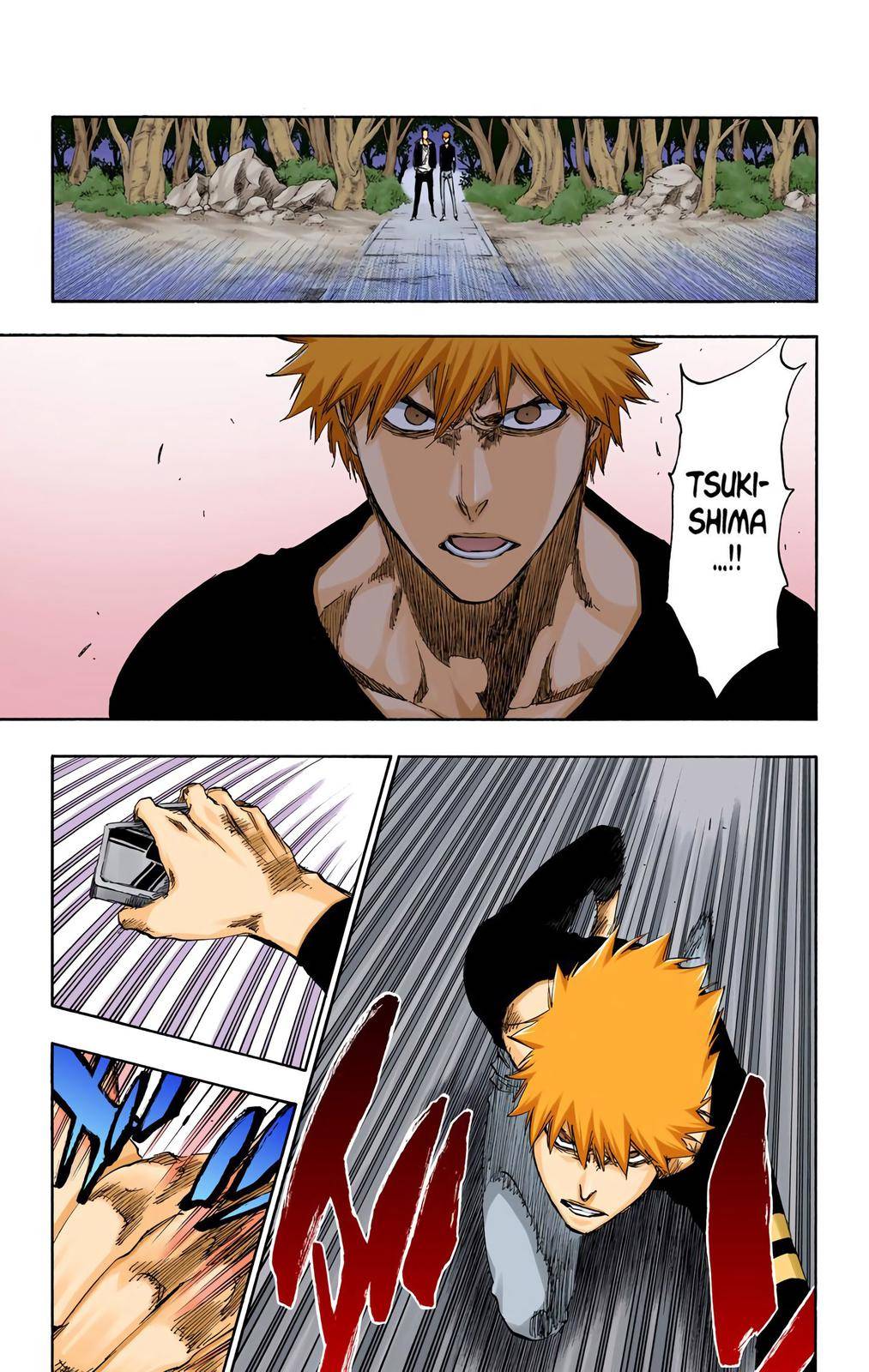 Bleach - Color - chapter 455 - #3