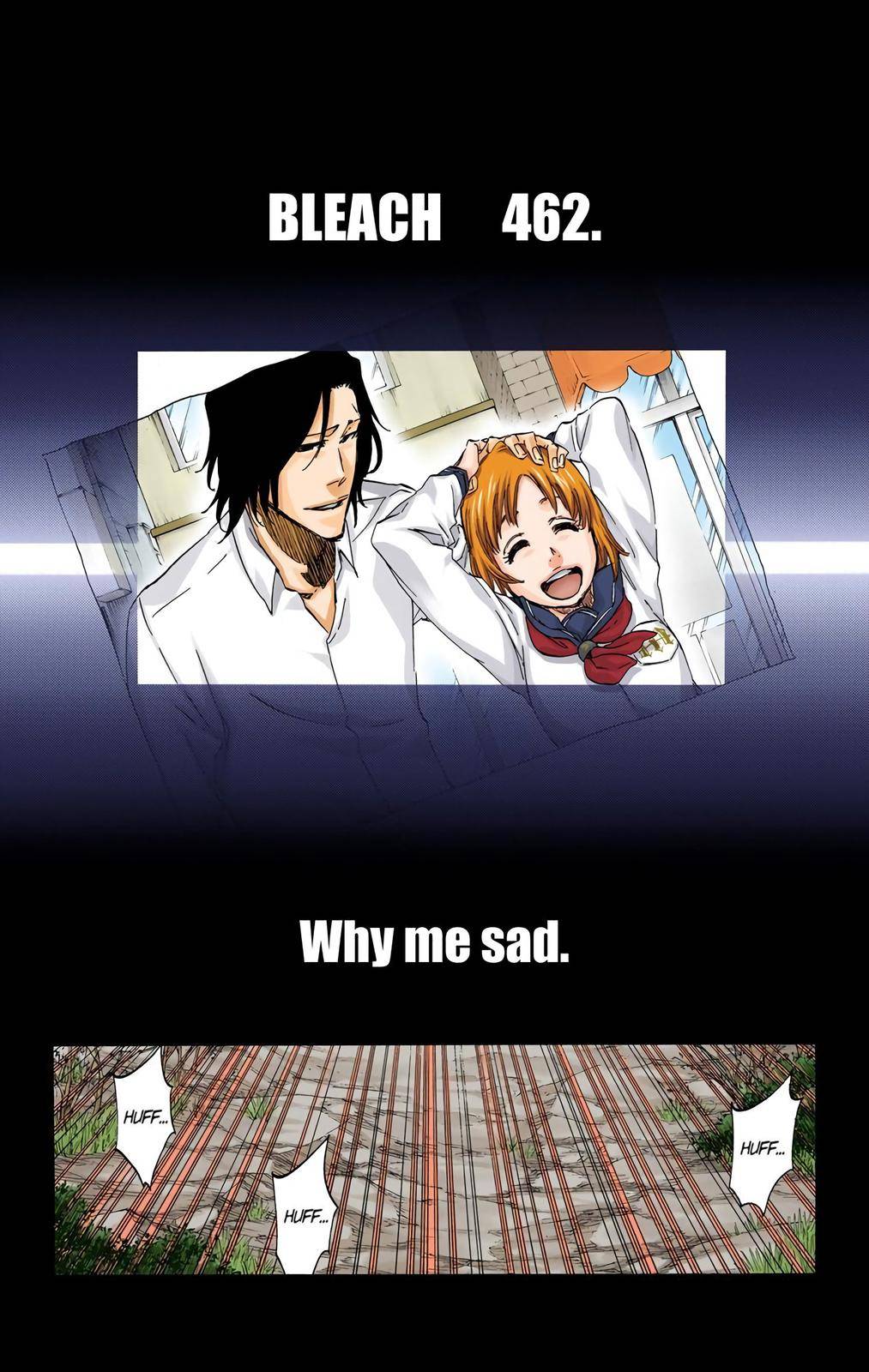 Bleach - Color - chapter 462 - #5
