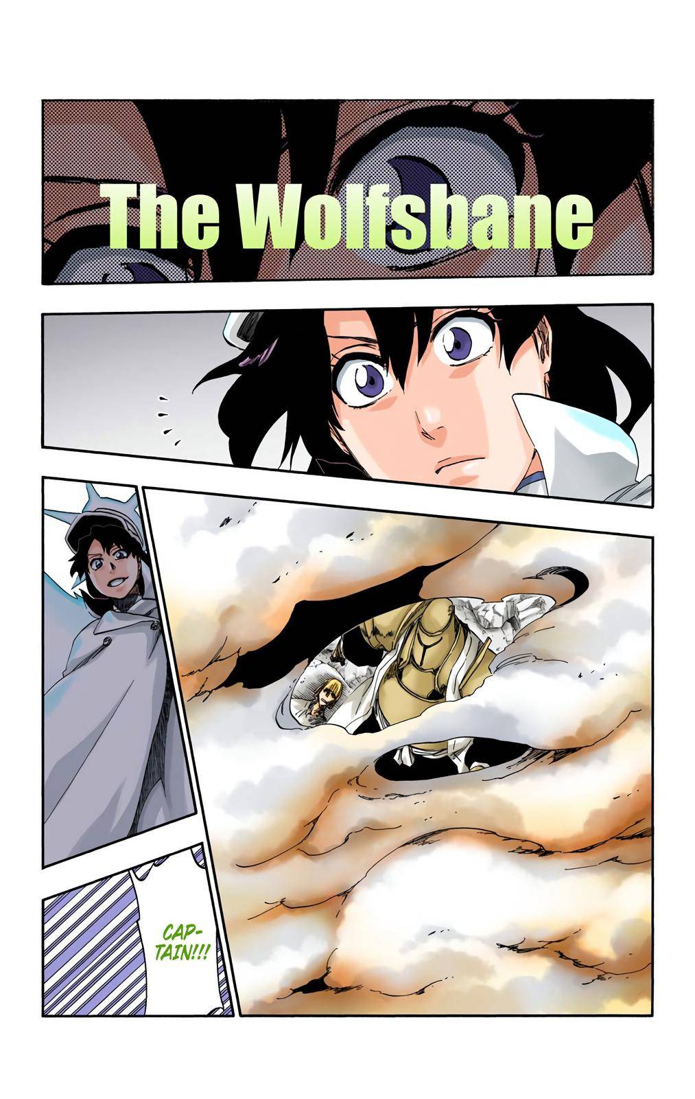 Bleach - Color - chapter 556 - #5
