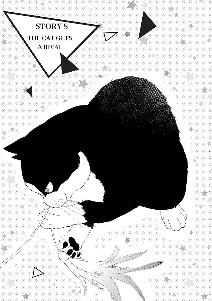 Cat and a Kiss - chapter 8 - #2