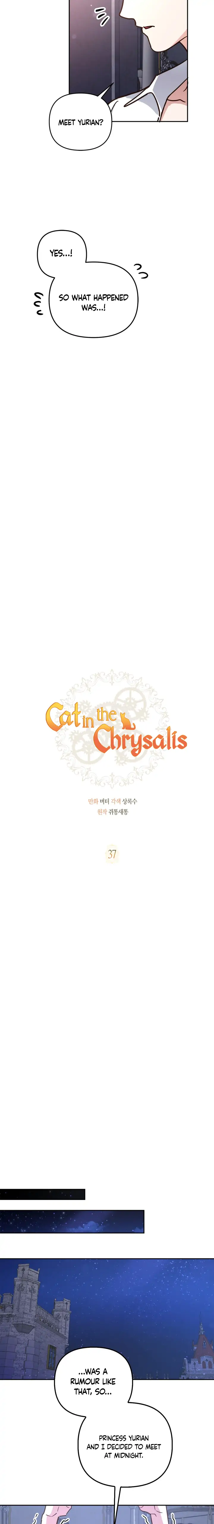 Cat in the Chrysalis - chapter 37 - #4