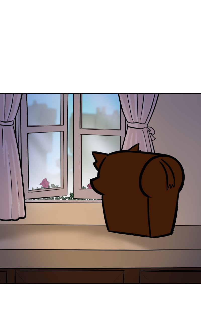 Cat Loaf Adventures - chapter 158 - #1