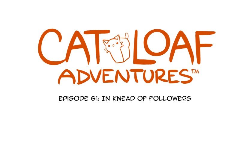 Cat Loaf Adventures - chapter 61 - #1