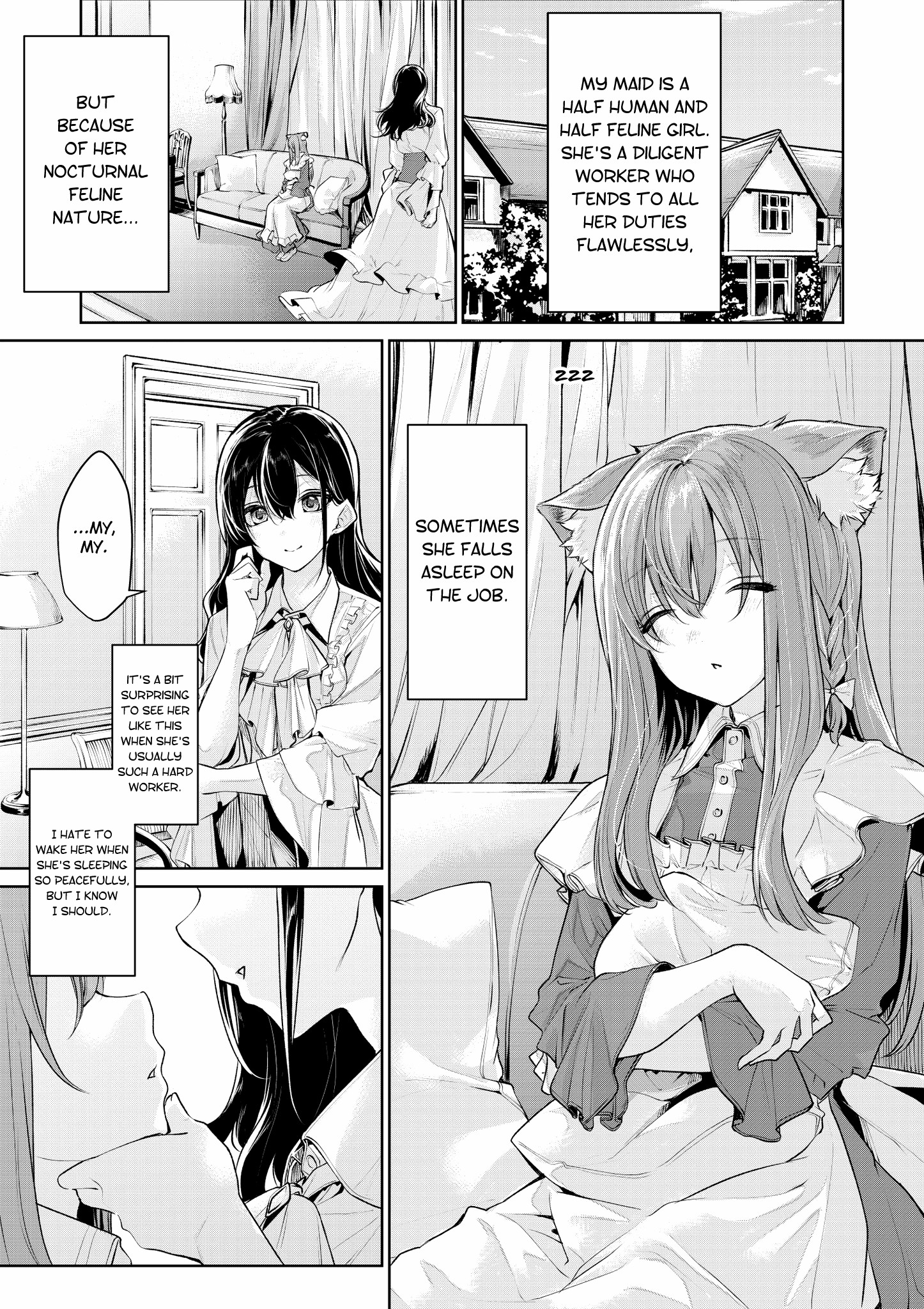 Cat Maid and Mistress - chapter 20 - #1