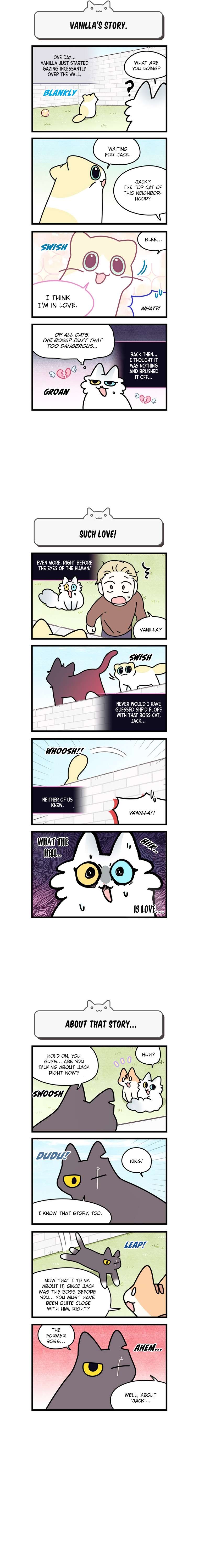 Cats Own The World - chapter 152 - #2