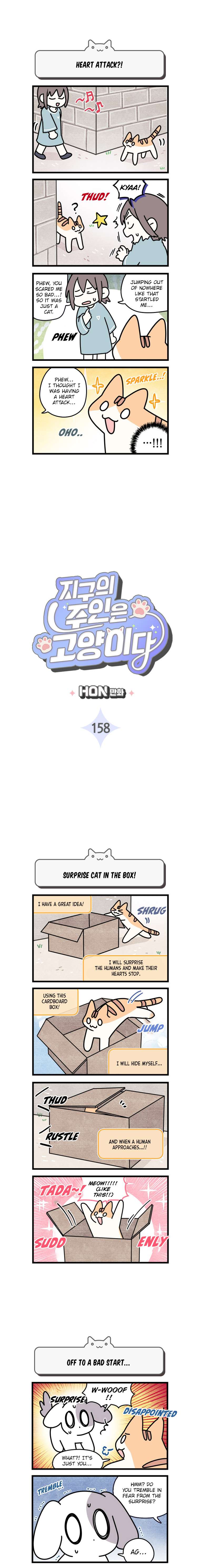 Cats Own The World - chapter 158 - #2