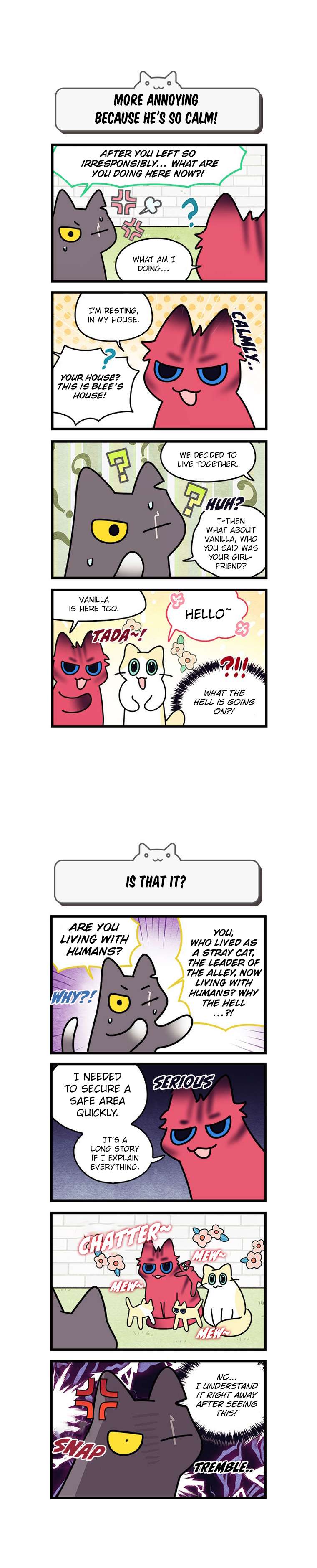 Cats Own The World - chapter 170 - #4