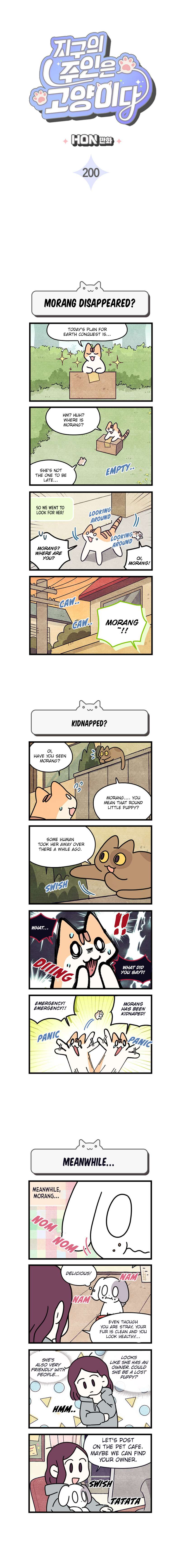 Cats Own The World - chapter 200 - #3