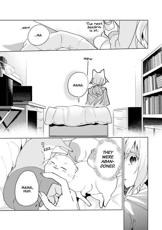 Catulus Syndrome - chapter 72 - #5