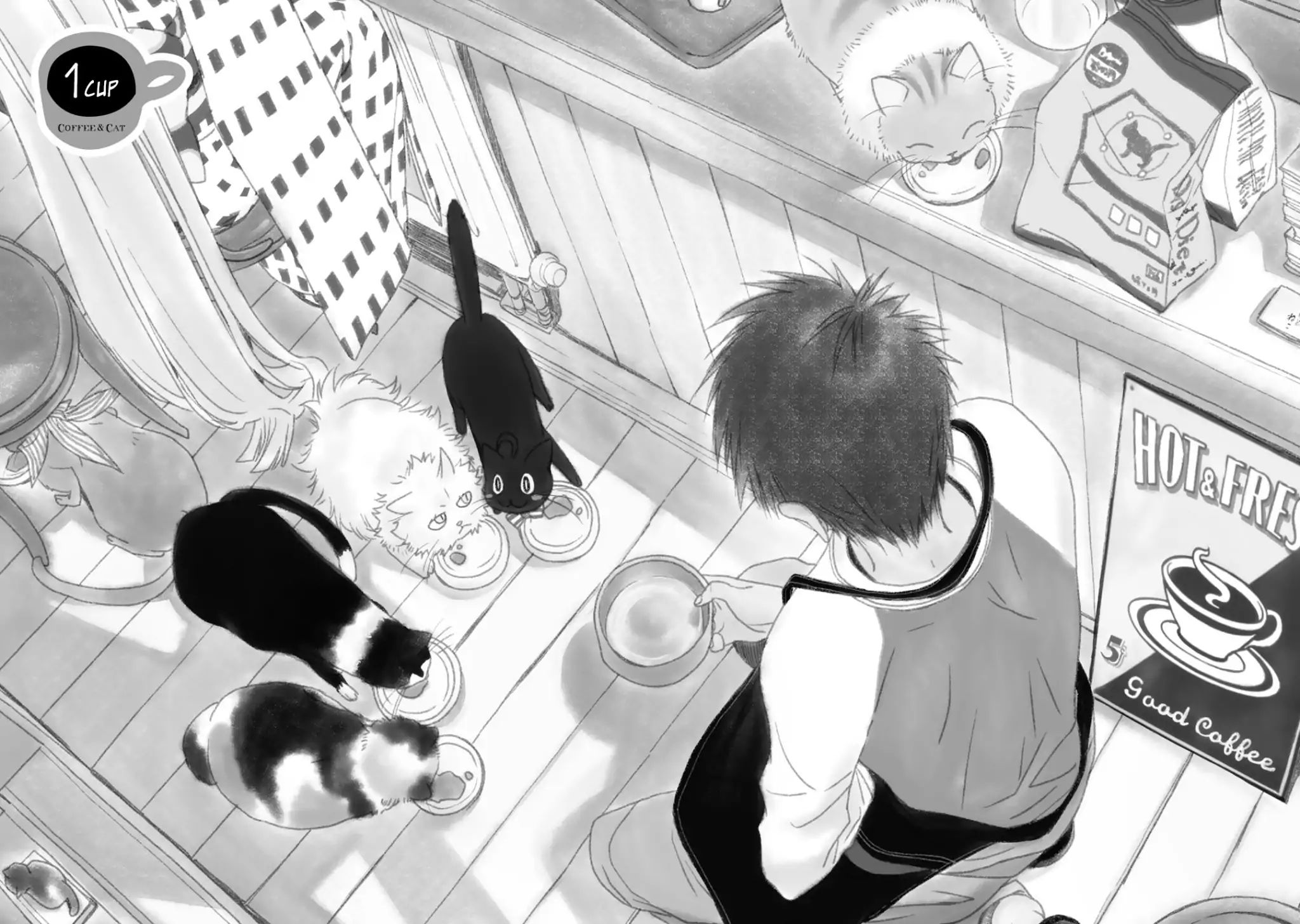 Coffee & Cat - chapter 1 - #6